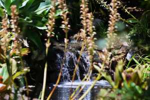 carrick hill 2014 (68)